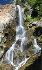 Grizzly Falls 1